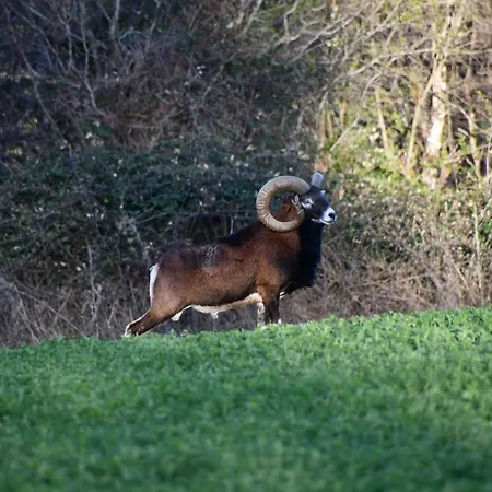Domaine Du Théron Сasa de vacaciones *