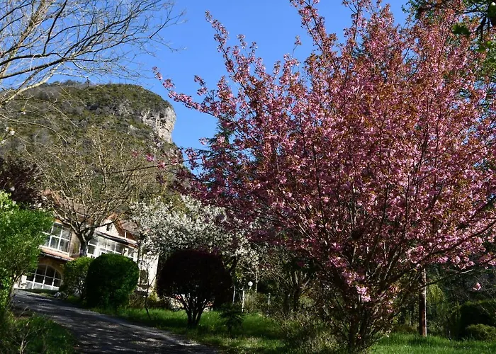 Hébergement de vacances Domaine Du Théron *
