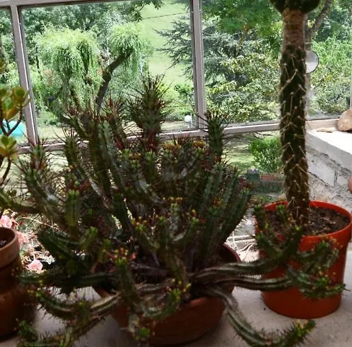 Hébergement de vacances Domaine Du Théron