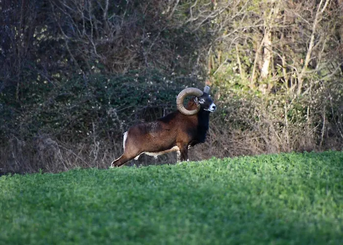 Domaine Du Théron Hébergement de vacances *