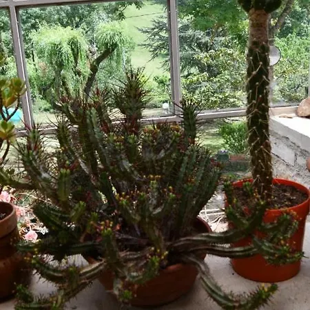 Ferienhaus Domaine Du Theron